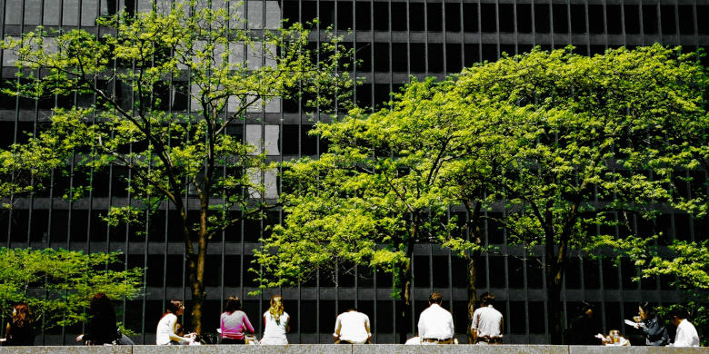 RSE : quelles actions pour votre TPE-PME ?